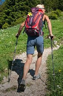 Picture for category Hiking Poles